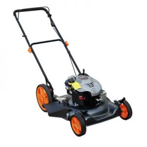 Faworyt Kosiarka Spalinowa Z Bocznym Wyrzutem CJ56BS625PBW 56cm ?DARMOWA DOSTAWA?