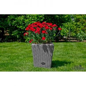 Bello Giardino Donica Ogrodowa Technorattan Szara AC.001.001.Sz