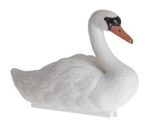 ŁABĘDŹ PŁYWAJĄCY