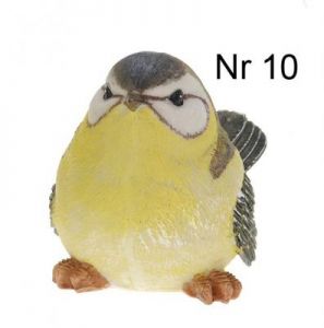PTASZEK OGRODOWY - 10